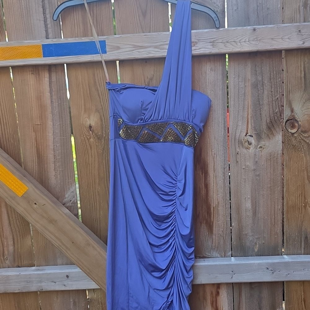 One-Shoulder Purple Dress with Gold Accents